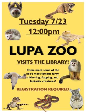 A Visit from Lupa Zo